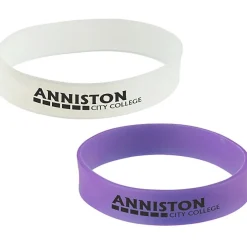 Sun Fun Bracelet - 24 hr