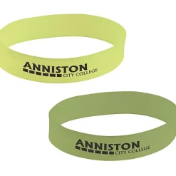 Sun Fun Bracelet - 24 hr