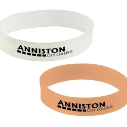 Sun Fun Bracelet - 24 hr