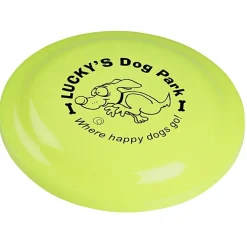 Sun Fun Flyer