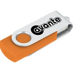 Swing USB Drive - 2 GB - 3 Day