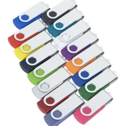Swing USB Drive - 2 GB - 24 hr