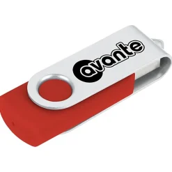 Swing USB Drive - 2 GB - 24 hr