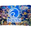 Tabletop Banner System with Back Wall - 6' - Replacement Graphic