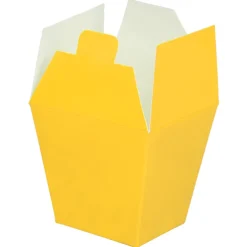 Take Out Style Box - Large