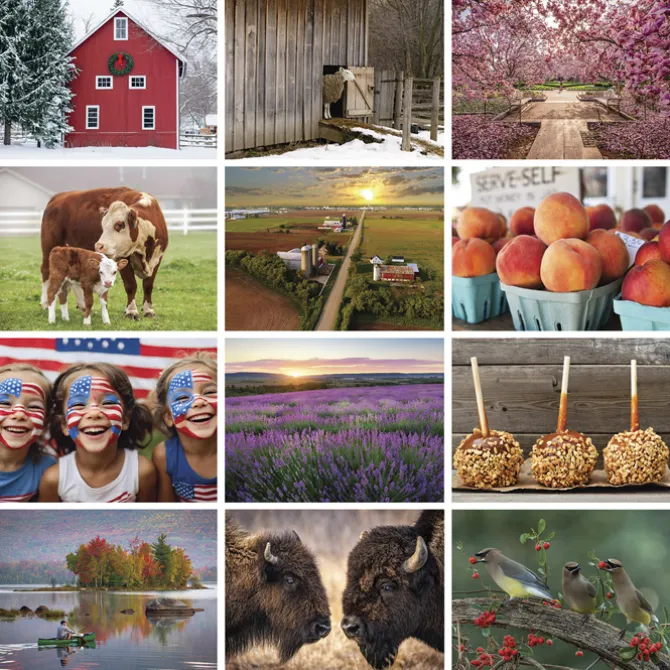 The Old Farmer's Almanac Calendar - Country - Stapled