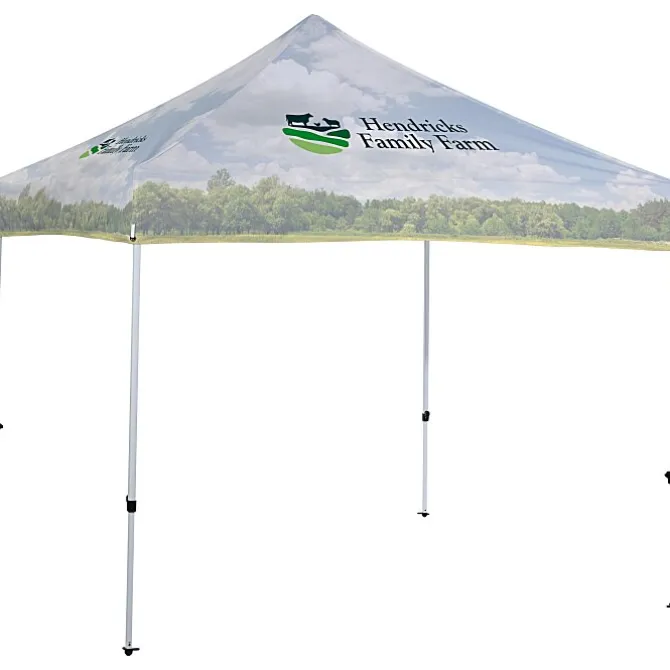 Thrifty 10-foot Event Tent - Full Color