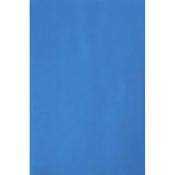Tissue Paper - Color