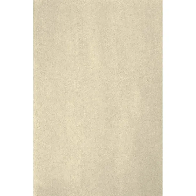 Tissue Paper - Color