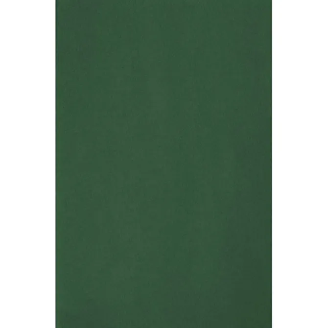 Tissue Paper - Color