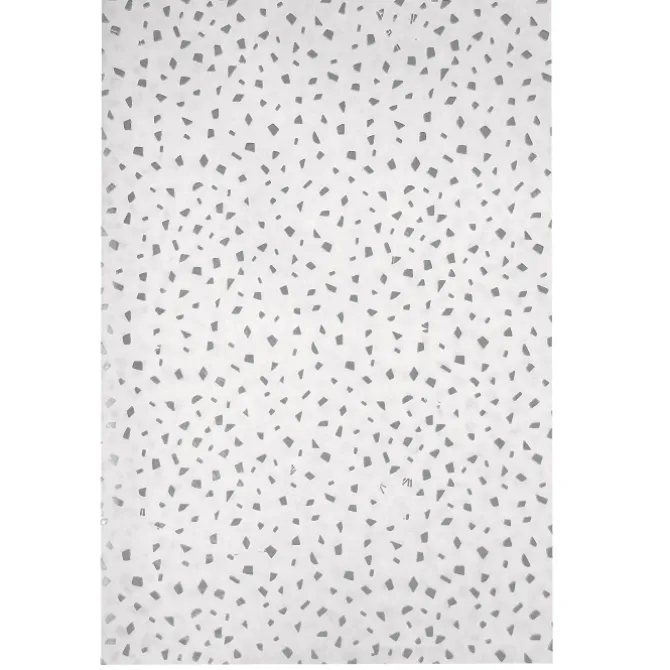 Tissue Paper - Reflections