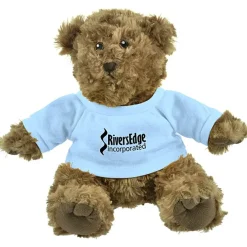 Traditional Teddy Bear - Brown