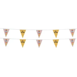 30' Triangle Pennant String - 12 inches x 9 inches - 16 Pennants - Two Sided - Alternating