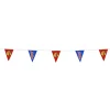 20' Triangle Pennant String - 12 inches x 9 inches - 11 Pennants - One Sided - Alternating