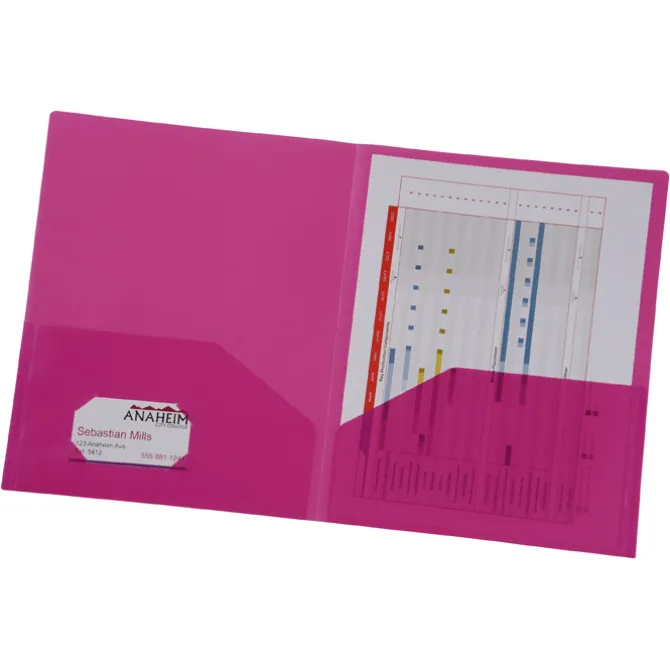 Twin Pocket Poly Presentation Folder - Frost