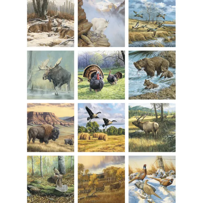 Wildlife Art Appointment Calendar