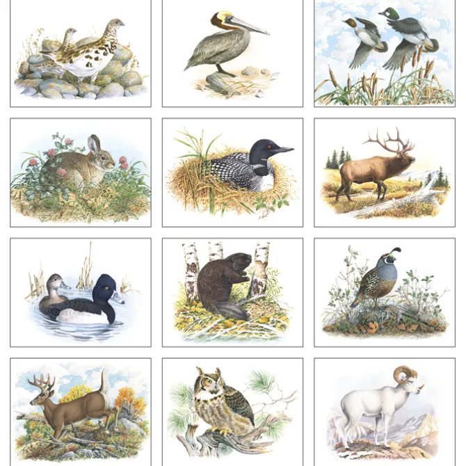Wildlife Trek Calendar - Stapled