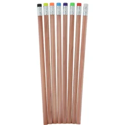 Zen Pencil - 24 hr